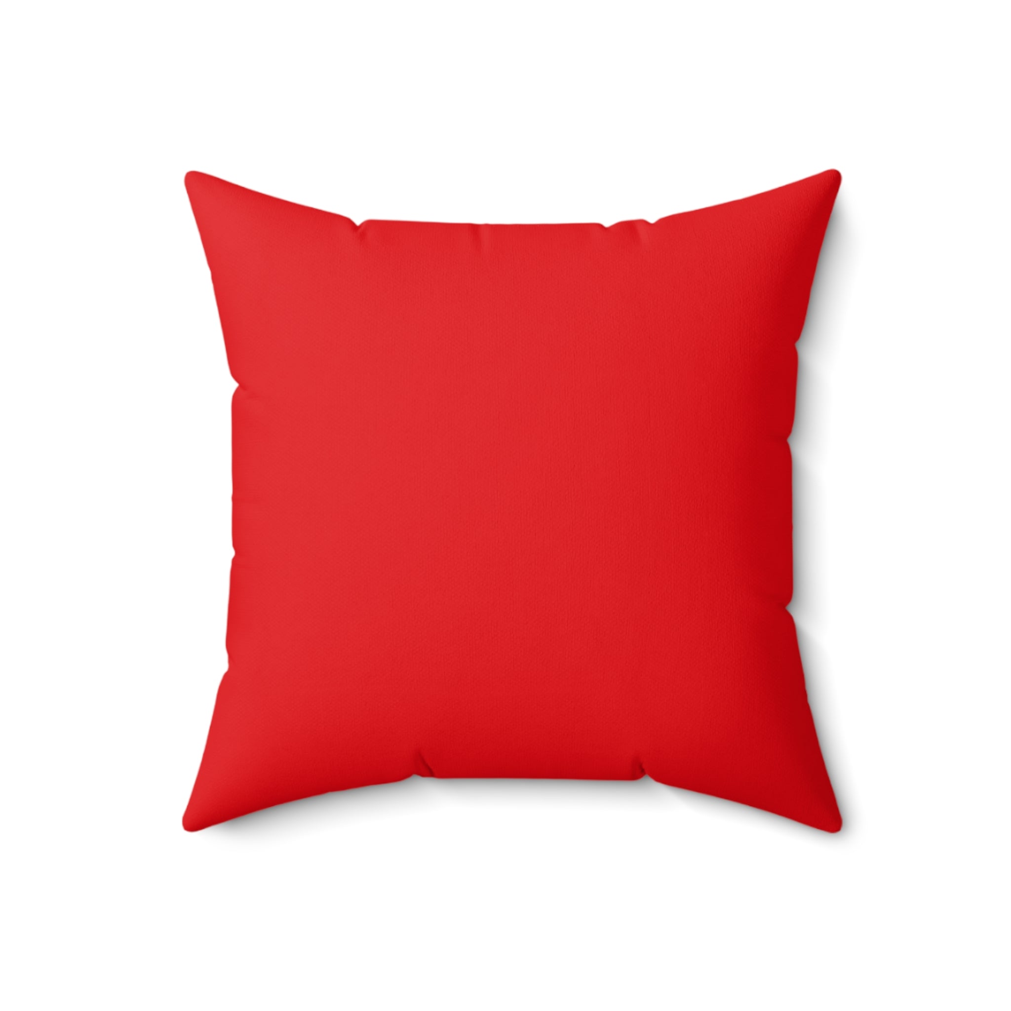 Faux Suede Square Pillow Jacks turquoise - red